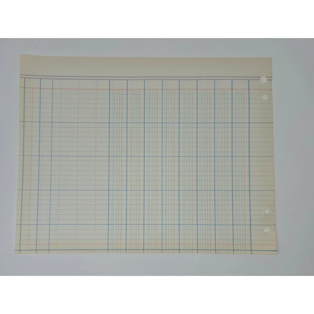 Accounting Ledger 50 Sheets Double Sided 24 Columns 9.25
